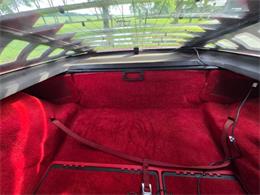 1981 Chevrolet Corvette L82 (CC-2093459) for sale in Waconia, Minnesota