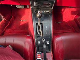 1981 Chevrolet Corvette L82 (CC-2093459) for sale in Waconia, Minnesota