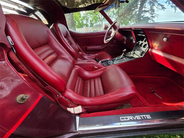 1981 Chevrolet Corvette L82 (CC-2093459) for sale in Waconia, Minnesota