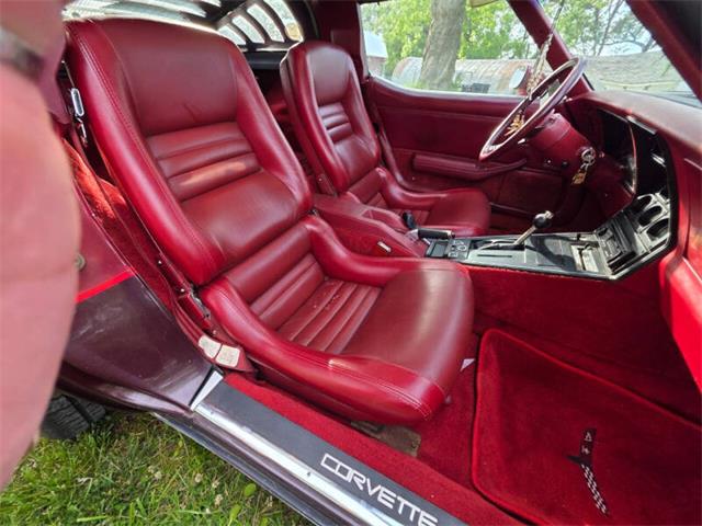 1981 Chevrolet Corvette L82 (CC-2093459) for sale in Waconia, Minnesota