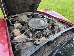 1981 Chevrolet Corvette L82 (CC-2093459) for sale in Waconia, Minnesota