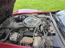 1981 Chevrolet Corvette L82 (CC-2093459) for sale in Waconia, Minnesota