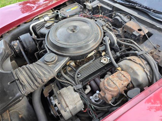 1981 Chevrolet Corvette L82 (CC-2093459) for sale in Waconia, Minnesota