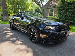 2014 Ford Mustang GT/CS (California Special) (CC-2093492) for sale in Waconia, Minnesota