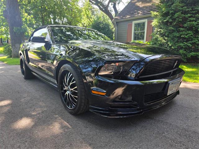 2014 Ford Mustang GT/CS (California Special) (CC-2093492) for sale in Waconia, Minnesota