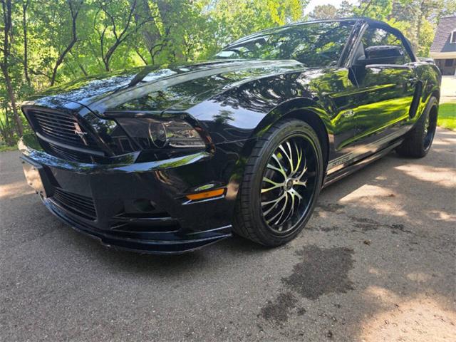 2014 Ford Mustang GT/CS (California Special) (CC-2093492) for sale in Waconia, Minnesota