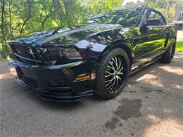 2014 Ford Mustang GT/CS (California Special) (CC-2093492) for sale in Waconia, Minnesota
