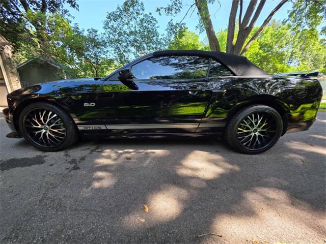2014 Ford Mustang GT/CS (California Special) (CC-2093492) for sale in Waconia, Minnesota