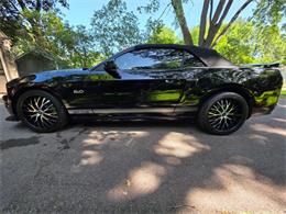 2014 Ford Mustang GT/CS (California Special) (CC-2093492) for sale in Waconia, Minnesota