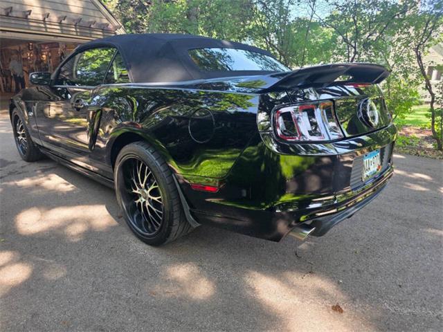 2014 Ford Mustang GT/CS (California Special) (CC-2093492) for sale in Waconia, Minnesota