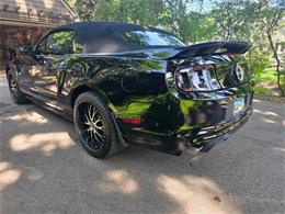 2014 Ford Mustang GT/CS (California Special) (CC-2093492) for sale in Waconia, Minnesota