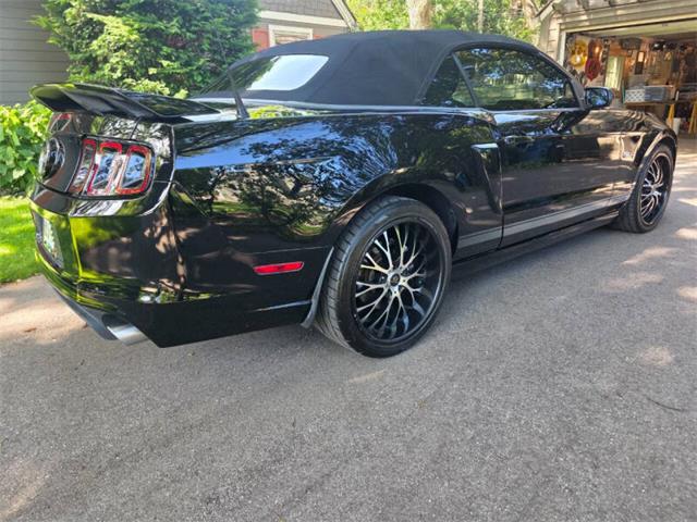 2014 Ford Mustang GT/CS (California Special) (CC-2093492) for sale in Waconia, Minnesota