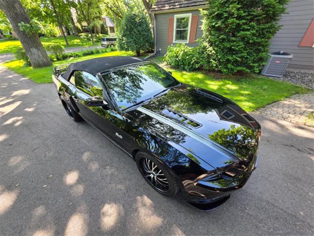 2014 Ford Mustang GT/CS (California Special) (CC-2093492) for sale in Waconia, Minnesota