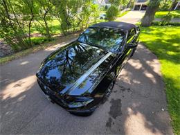 2014 Ford Mustang GT/CS (California Special) (CC-2093492) for sale in Waconia, Minnesota