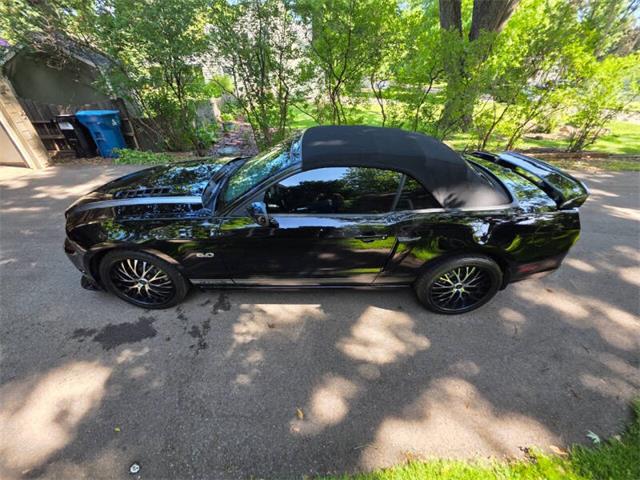 2014 Ford Mustang GT/CS (California Special) (CC-2093492) for sale in Waconia, Minnesota