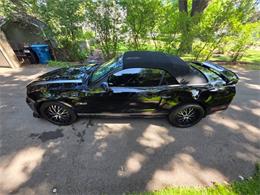 2014 Ford Mustang GT/CS (California Special) (CC-2093492) for sale in Waconia, Minnesota