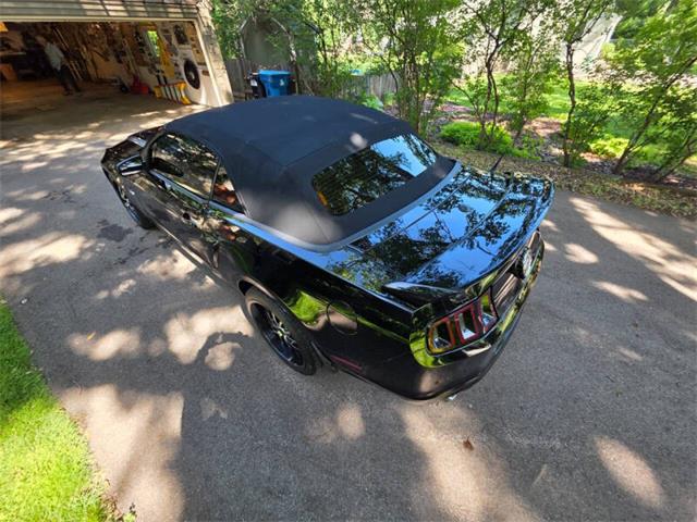 2014 Ford Mustang GT/CS (California Special) (CC-2093492) for sale in Waconia, Minnesota
