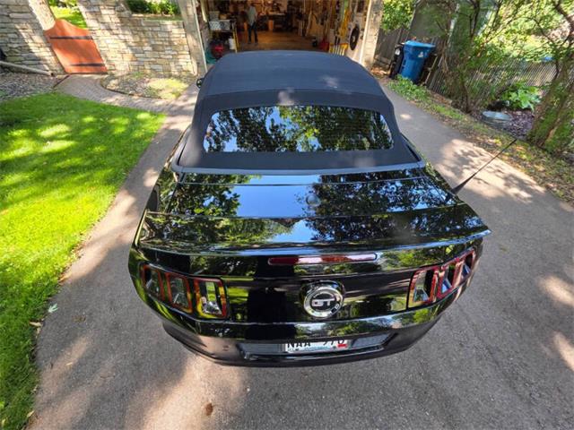 2014 Ford Mustang GT/CS (California Special) (CC-2093492) for sale in Waconia, Minnesota
