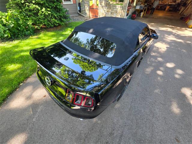 2014 Ford Mustang GT/CS (California Special) (CC-2093492) for sale in Waconia, Minnesota