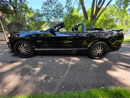 2014 Ford Mustang GT/CS (California Special) (CC-2093492) for sale in Waconia, Minnesota