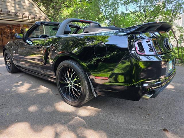 2014 Ford Mustang GT/CS (California Special) (CC-2093492) for sale in Waconia, Minnesota
