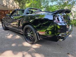 2014 Ford Mustang GT/CS (California Special) (CC-2093492) for sale in Waconia, Minnesota