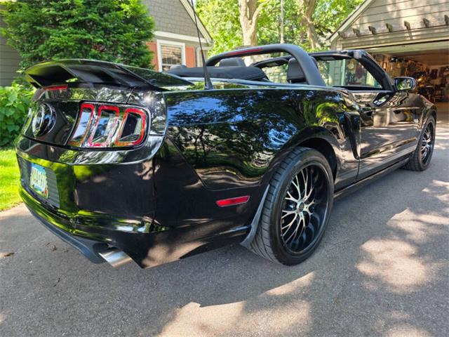 2014 Ford Mustang GT/CS (California Special) (CC-2093492) for sale in Waconia, Minnesota