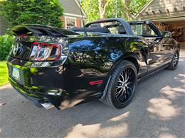 2014 Ford Mustang GT/CS (California Special) (CC-2093492) for sale in Waconia, Minnesota
