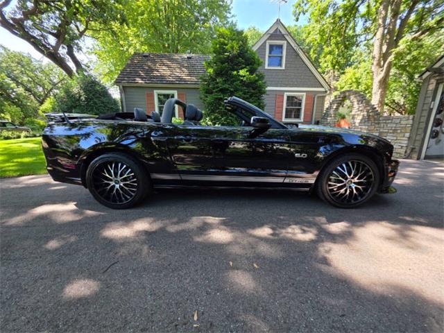 2014 Ford Mustang GT/CS (California Special) (CC-2093492) for sale in Waconia, Minnesota