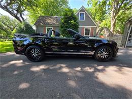 2014 Ford Mustang GT/CS (California Special) (CC-2093492) for sale in Waconia, Minnesota