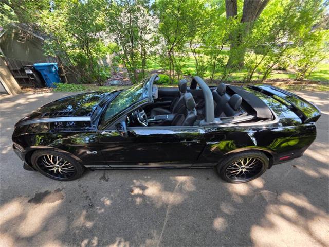 2014 Ford Mustang GT/CS (California Special) (CC-2093492) for sale in Waconia, Minnesota