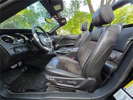 2014 Ford Mustang GT/CS (California Special) (CC-2093492) for sale in Waconia, Minnesota