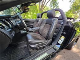 2014 Ford Mustang GT/CS (California Special) (CC-2093492) for sale in Waconia, Minnesota