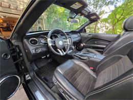 2014 Ford Mustang GT/CS (California Special) (CC-2093492) for sale in Waconia, Minnesota