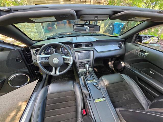 2014 Ford Mustang GT/CS (California Special) (CC-2093492) for sale in Waconia, Minnesota
