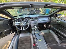 2014 Ford Mustang GT/CS (California Special) (CC-2093492) for sale in Waconia, Minnesota