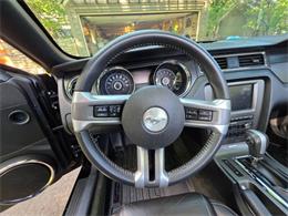 2014 Ford Mustang GT/CS (California Special) (CC-2093492) for sale in Waconia, Minnesota