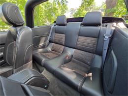 2014 Ford Mustang GT/CS (California Special) (CC-2093492) for sale in Waconia, Minnesota