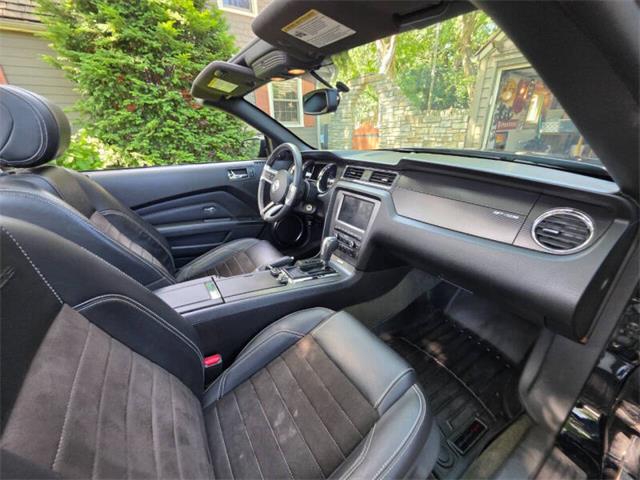 2014 Ford Mustang GT/CS (California Special) (CC-2093492) for sale in Waconia, Minnesota