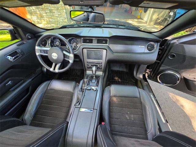 2014 Ford Mustang GT/CS (California Special) (CC-2093492) for sale in Waconia, Minnesota
