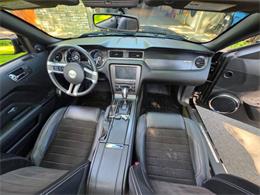 2014 Ford Mustang GT/CS (California Special) (CC-2093492) for sale in Waconia, Minnesota
