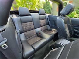 2014 Ford Mustang GT/CS (California Special) (CC-2093492) for sale in Waconia, Minnesota