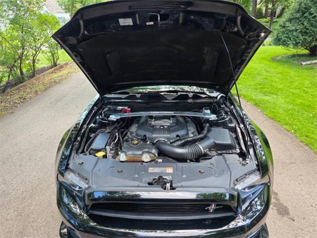 2014 Ford Mustang GT/CS (California Special) (CC-2093492) for sale in Waconia, Minnesota