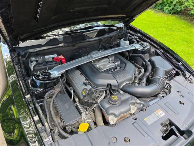 2014 Ford Mustang GT/CS (California Special) (CC-2093492) for sale in Waconia, Minnesota