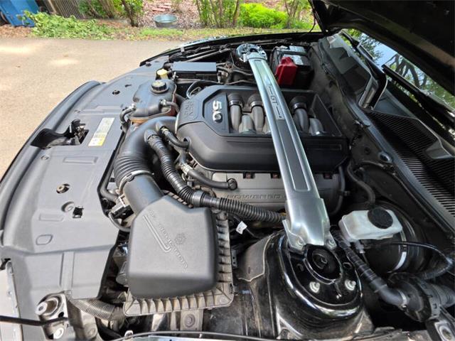 2014 Ford Mustang GT/CS (California Special) (CC-2093492) for sale in Waconia, Minnesota