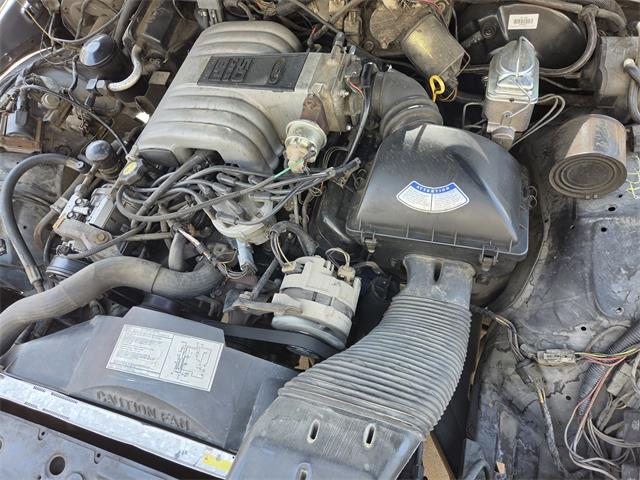 1986 Ford Crown Victoria (CC-2093494) for sale in UPLAND, California