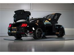 2022 Shelby GT500 (CC-2093497) for sale in Sneek, the Netherlands