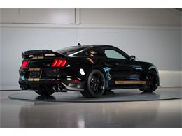 2022 Shelby GT500 (CC-2093497) for sale in Sneek, the Netherlands