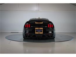 2022 Shelby GT500 (CC-2093497) for sale in Sneek, the Netherlands