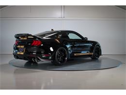 2022 Shelby GT500 (CC-2093497) for sale in Sneek, the Netherlands